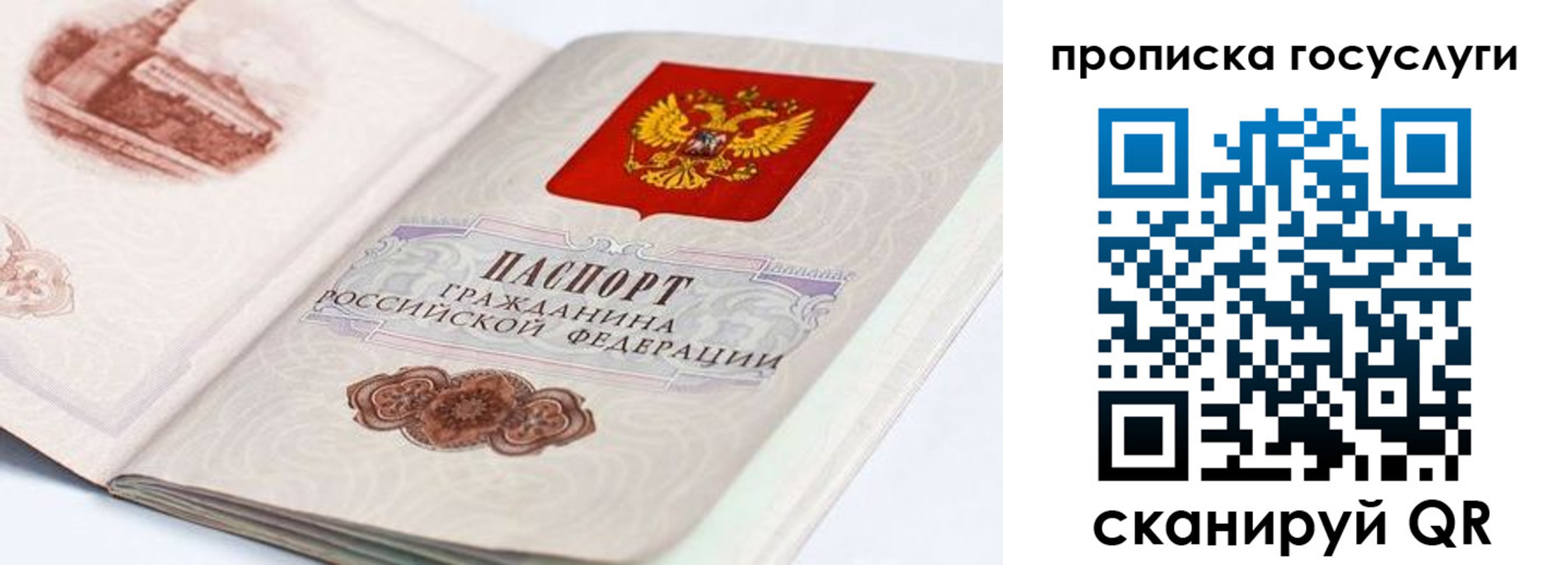 прописка регистрация в Кохме